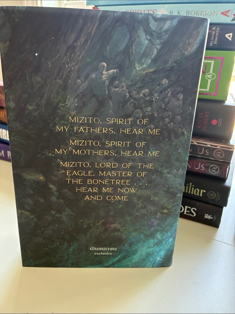 A Song of Legends Lost by M. H. Ayinde - Fantasy Hardcover illumicrate edition - Picture 2 of 6